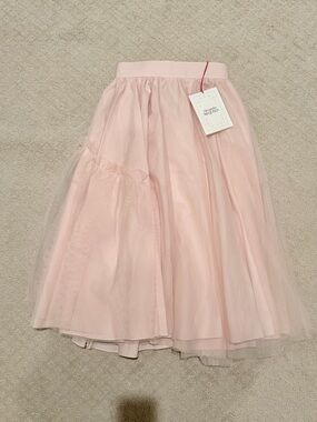 Alexander McQueen Pale Pink Layered Tulle Skirt
